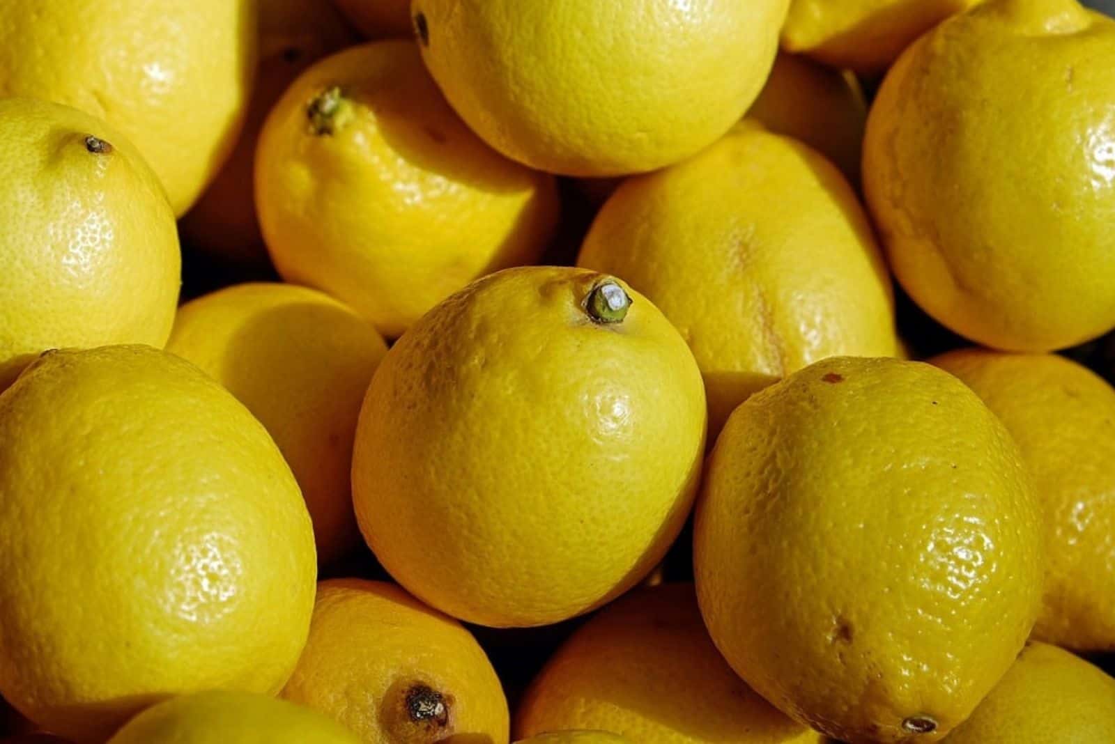 Verna lemon