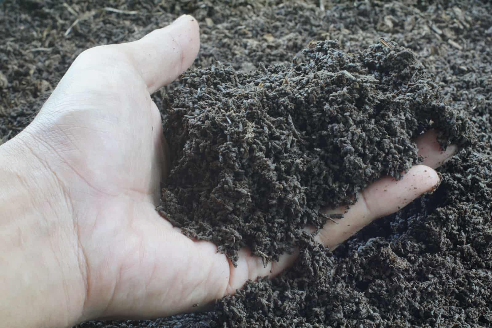 Worm castings, vermicompost, vermicast and left hand