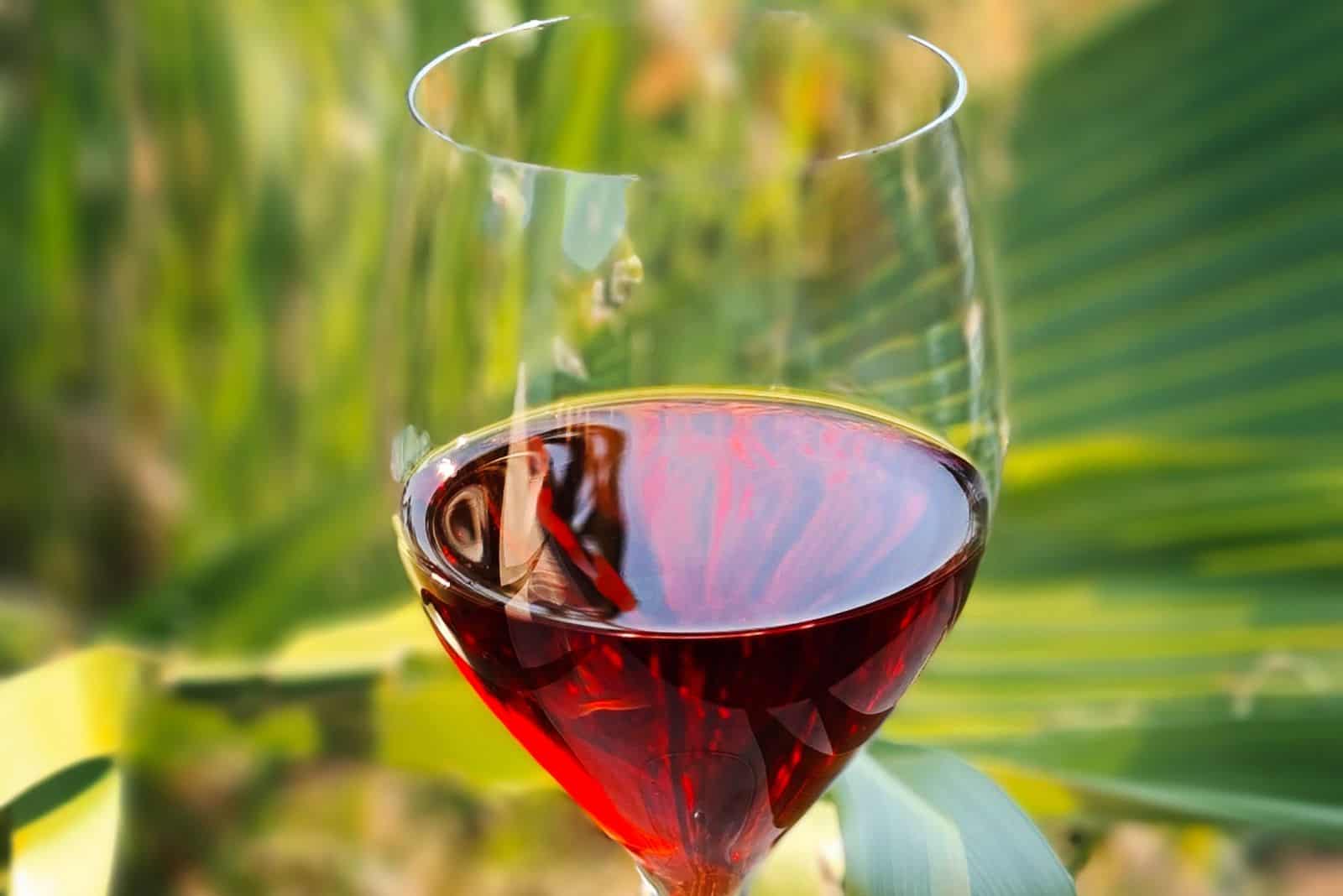 palm red wine