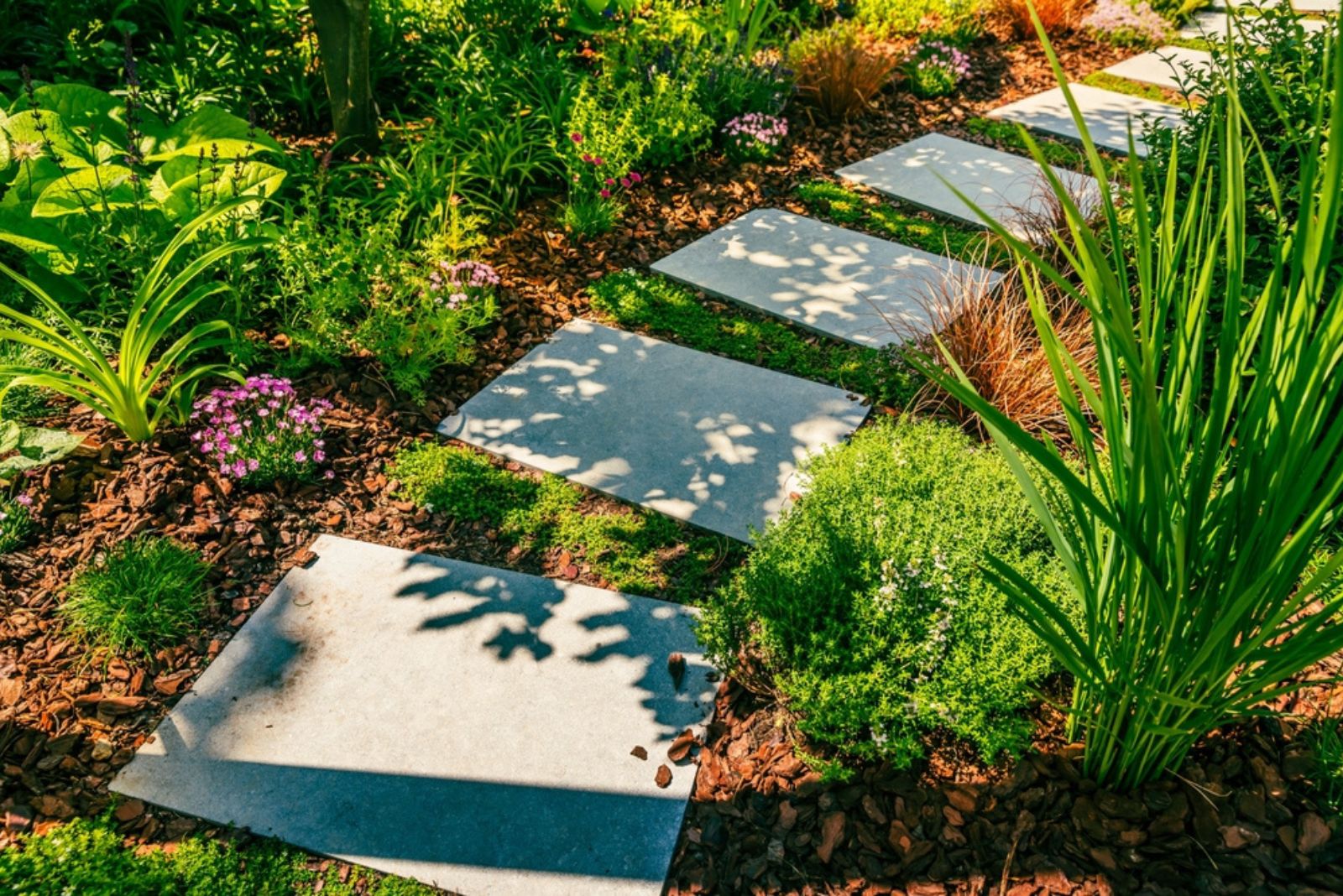 pathway in garden