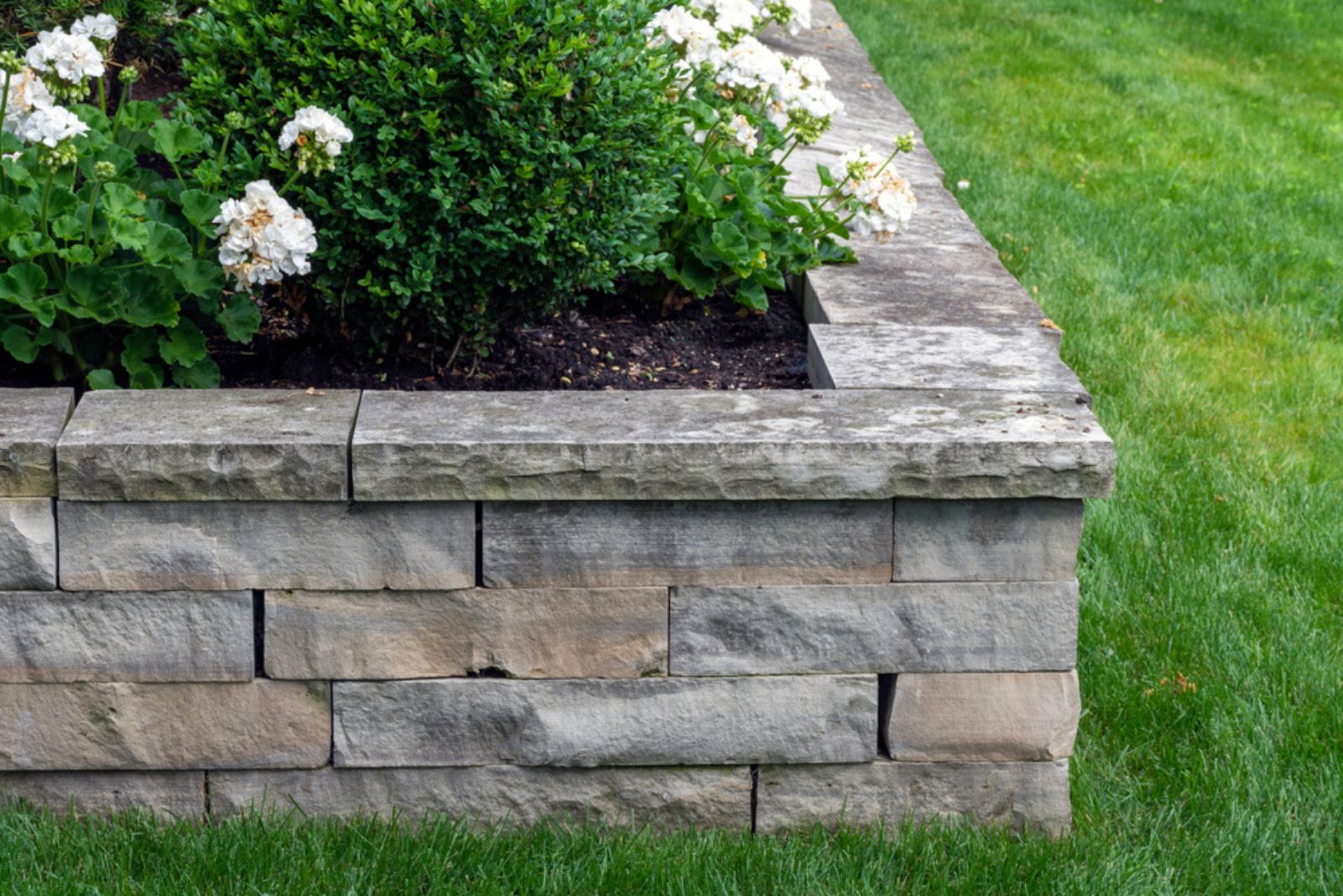 raised bed in garden