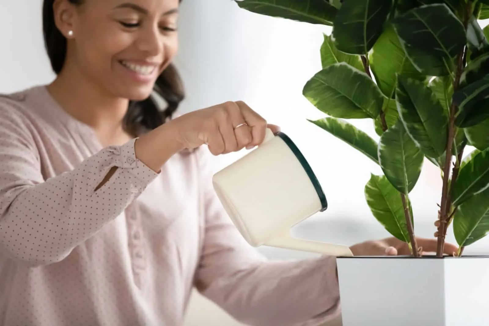 woman hold pot watering green plant at home