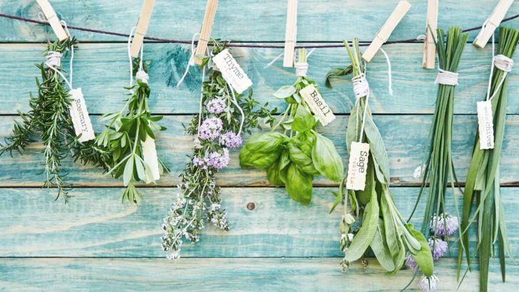 10 Effortless Herb Garden Ideas To Help Sprout Your Green Thumb