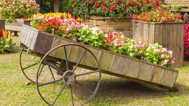 11 Eye-Catching Ideas For Landscaping With Petunias