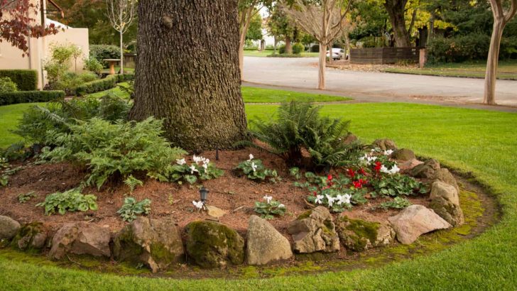 14 Creative Ideas For Landscaping Around Trees