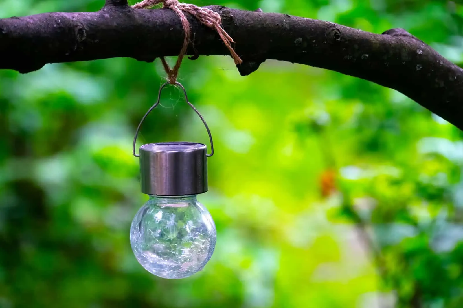 A solar hanging LED light cracked glass ball on the branch