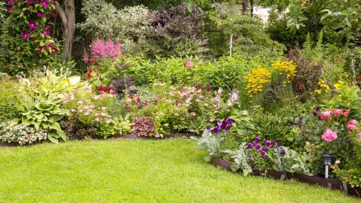 Check Out These Plants That Will Survive The Summer Heat