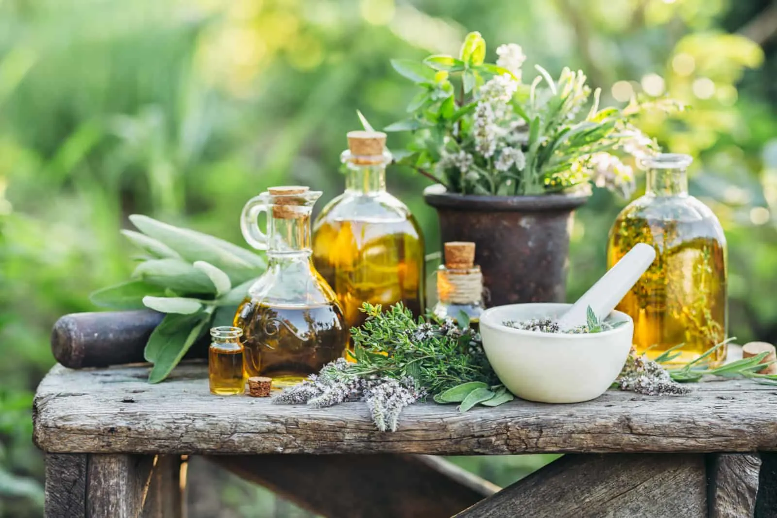 Fresh herbs from the garden and the different types of oils