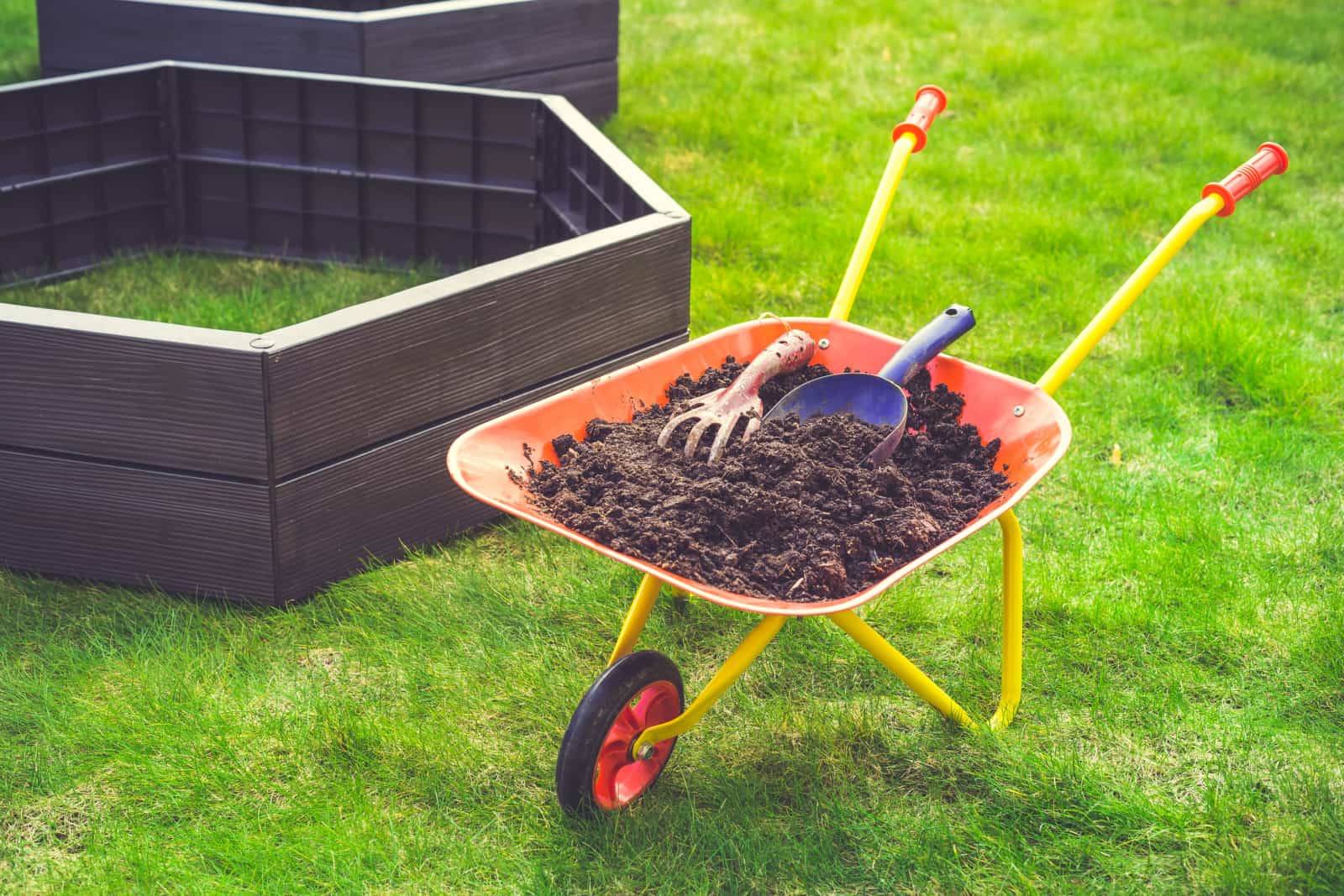 Garden barrow with soil and empty raised beds on grass prepared for filling with soil. Urban gardening concept.