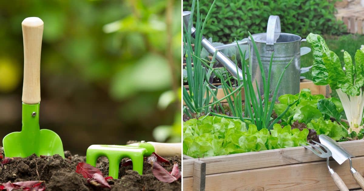 tips for starting a vegetable garden