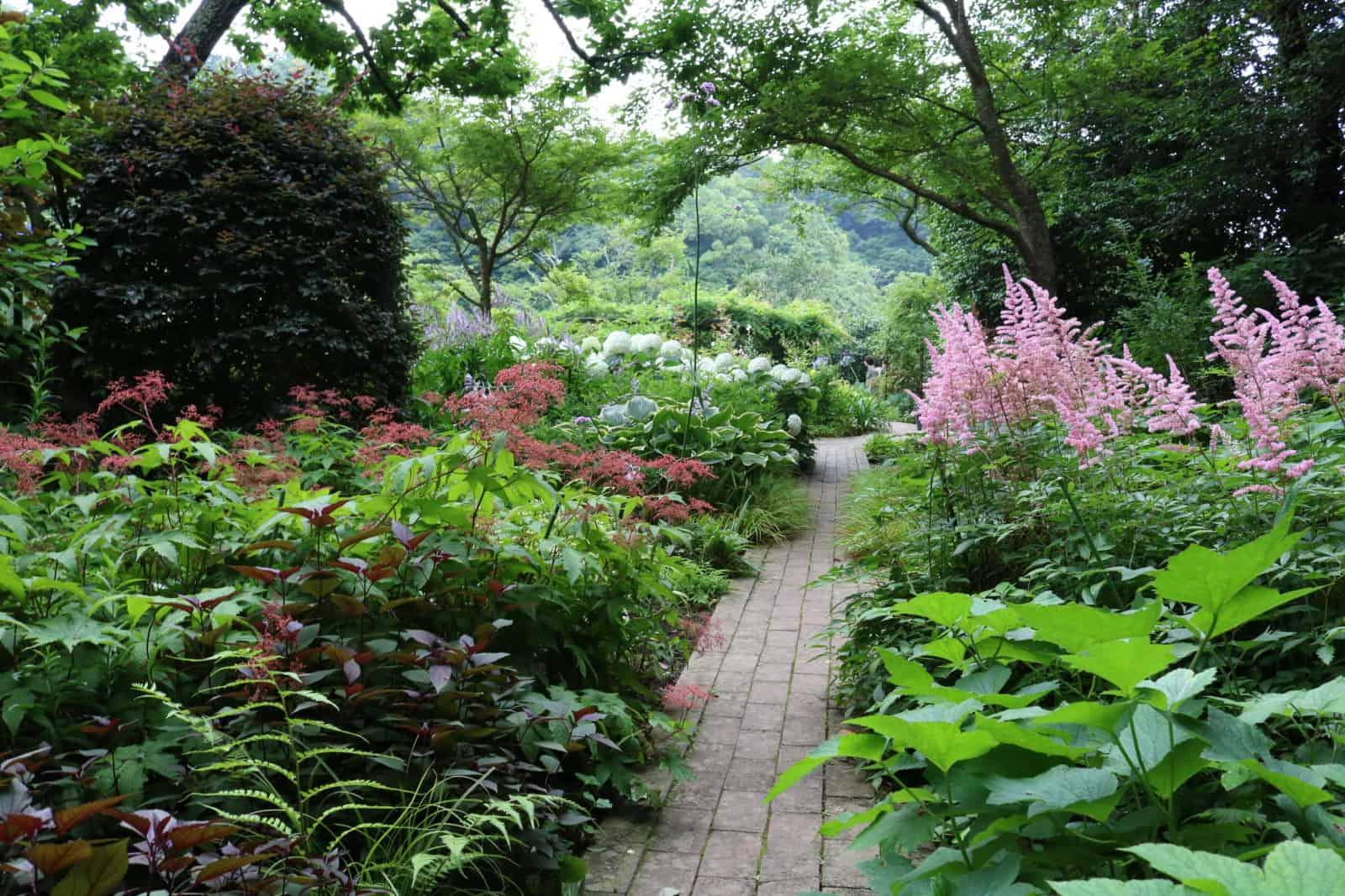 Kamakura shade Garden