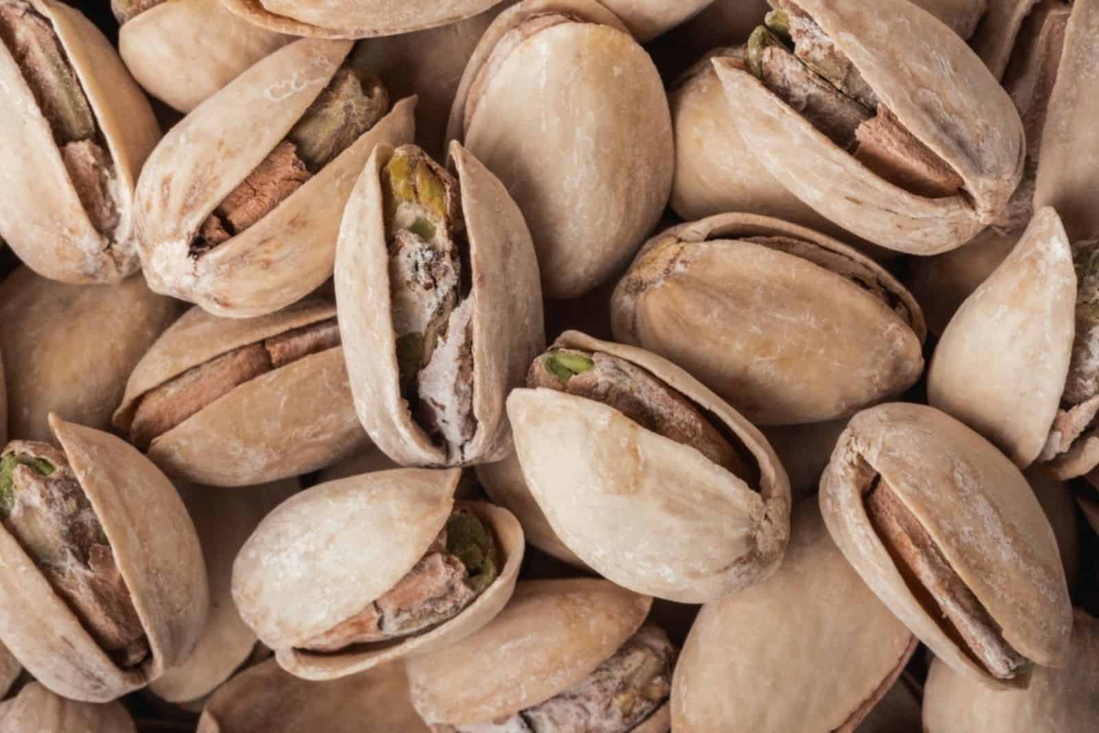 Pistacio nut seeds in shells