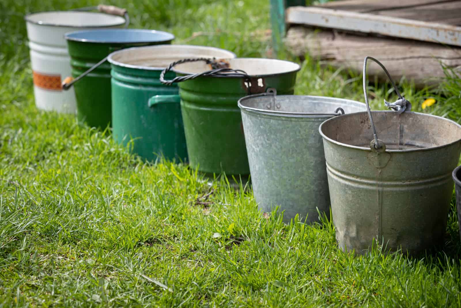 Several old buckets are standing on the grass in sunny weather