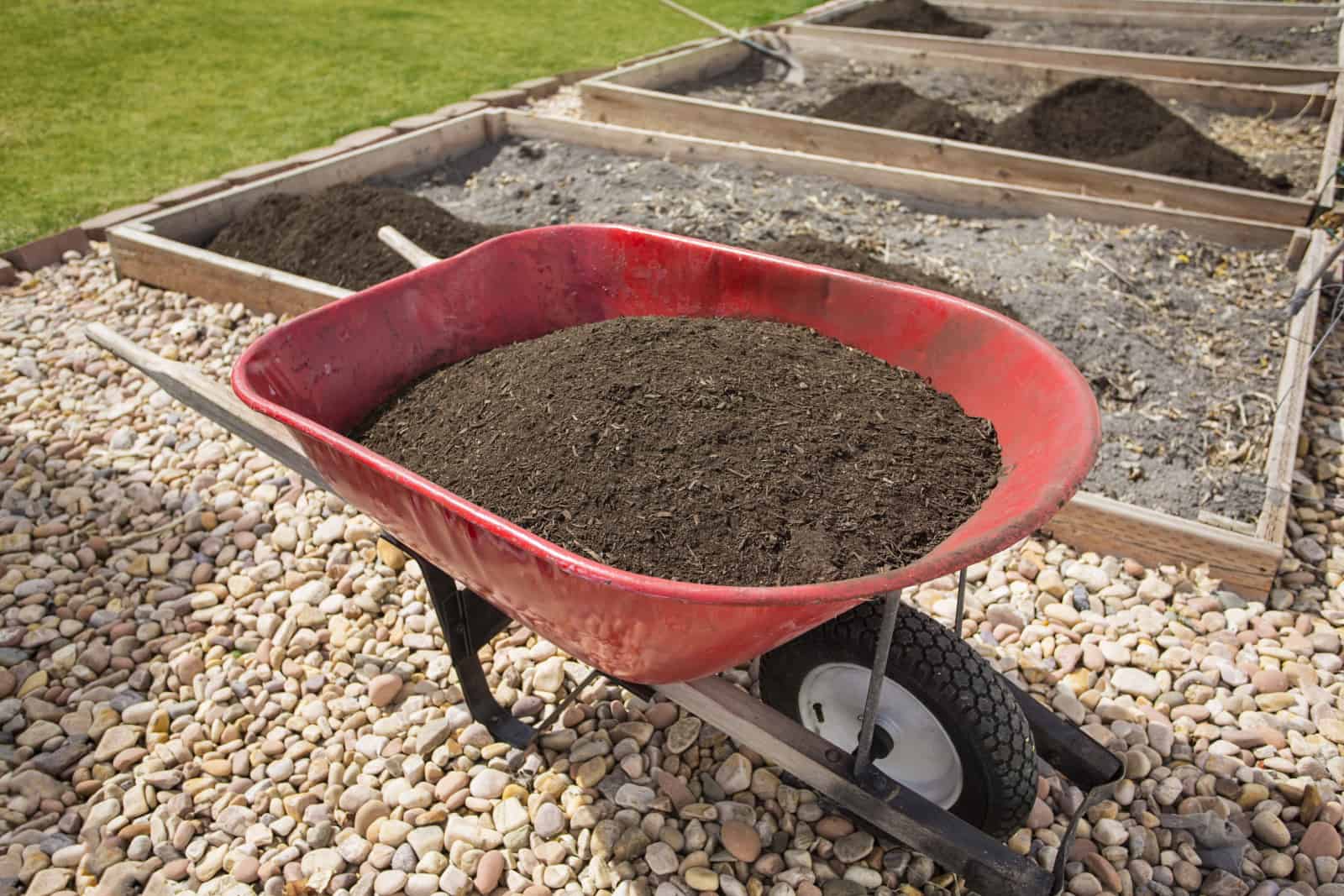Wheelbarrow full of compost dirt sitting in a backyard garden ready to help grow healthy vegetables