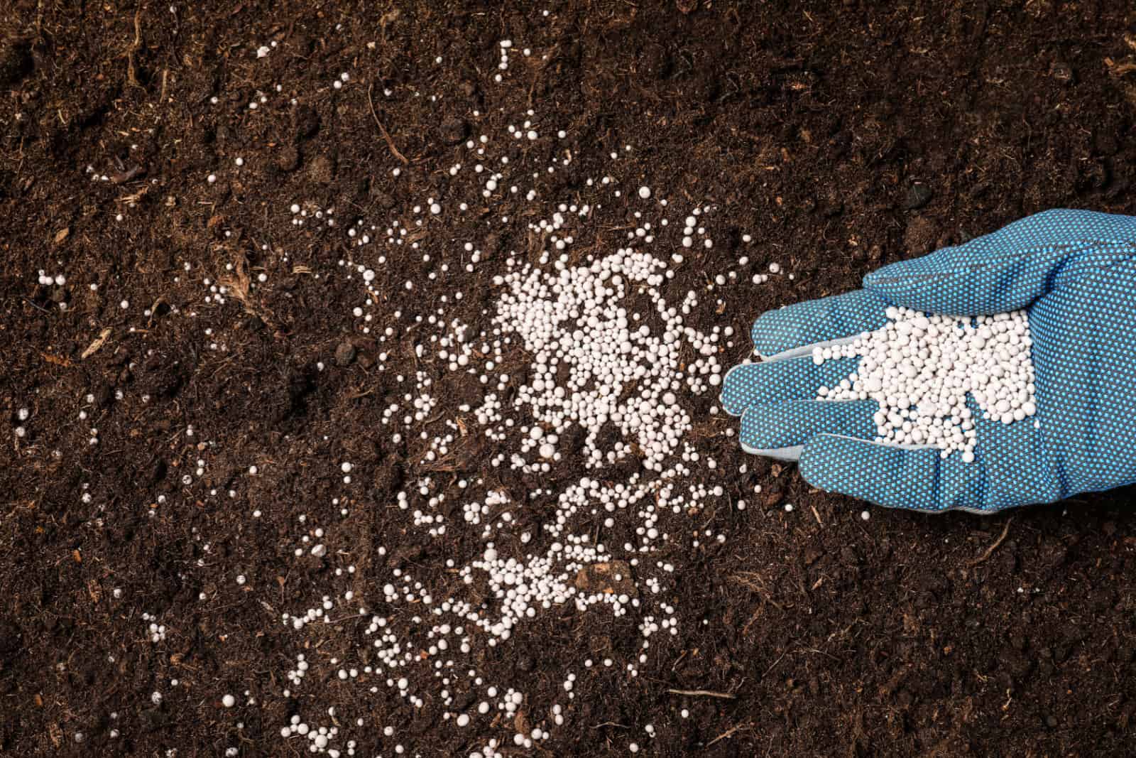 Woman fertilizing soil
