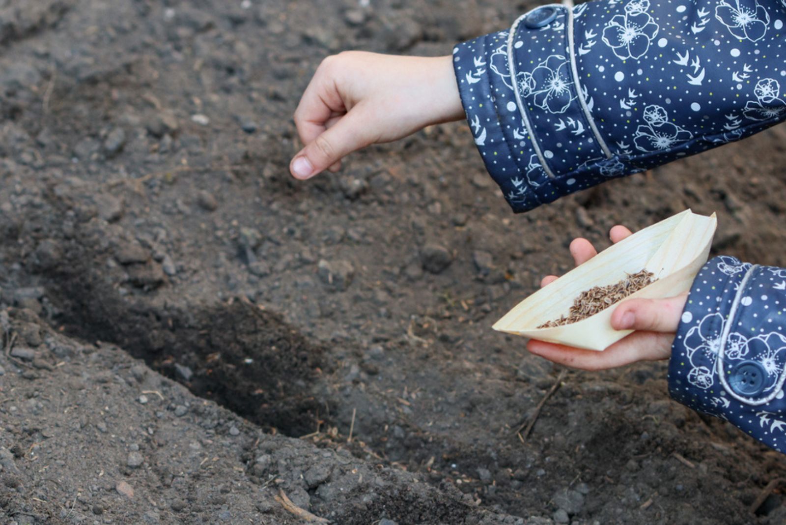 a kid planting seeds