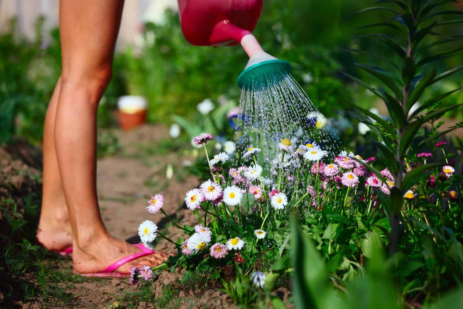 a woman watering flowers in the garden