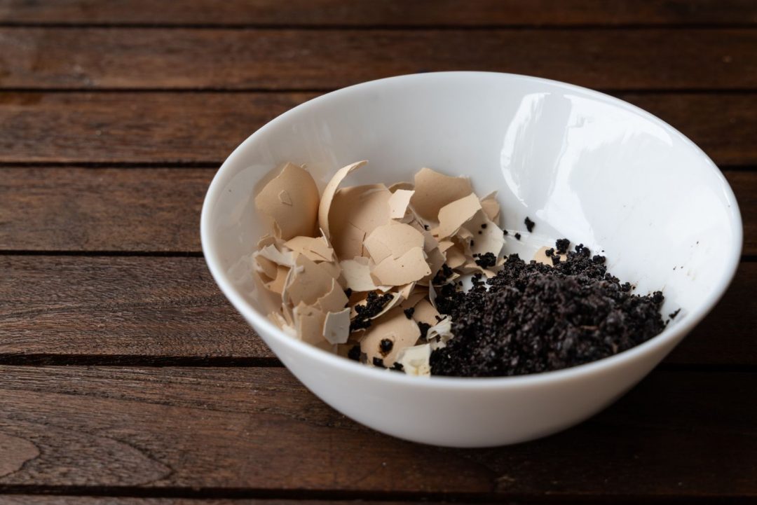 15 Ways To Use Eggshells Instead Of Throwing Them