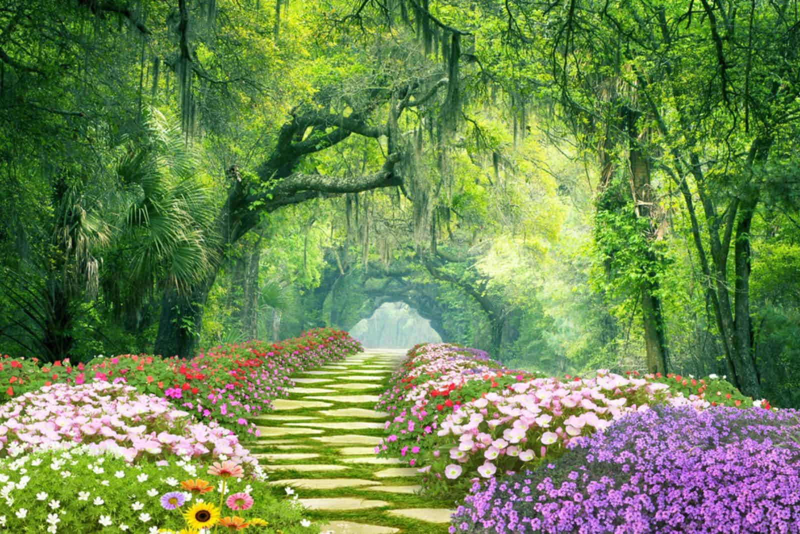 beautiful greenery in the forest garden with paths