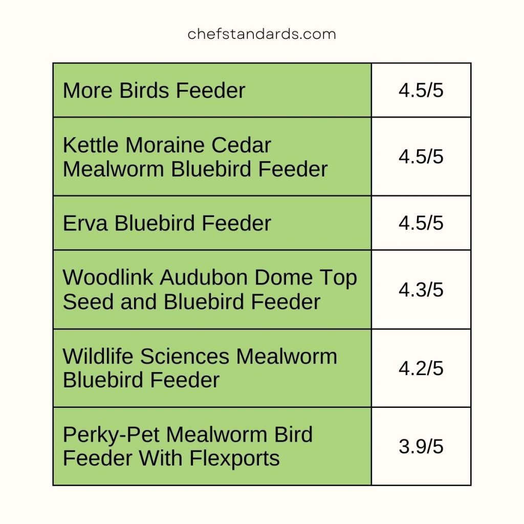 The 6 Best Bluebird Feeders That You Have To Try Out