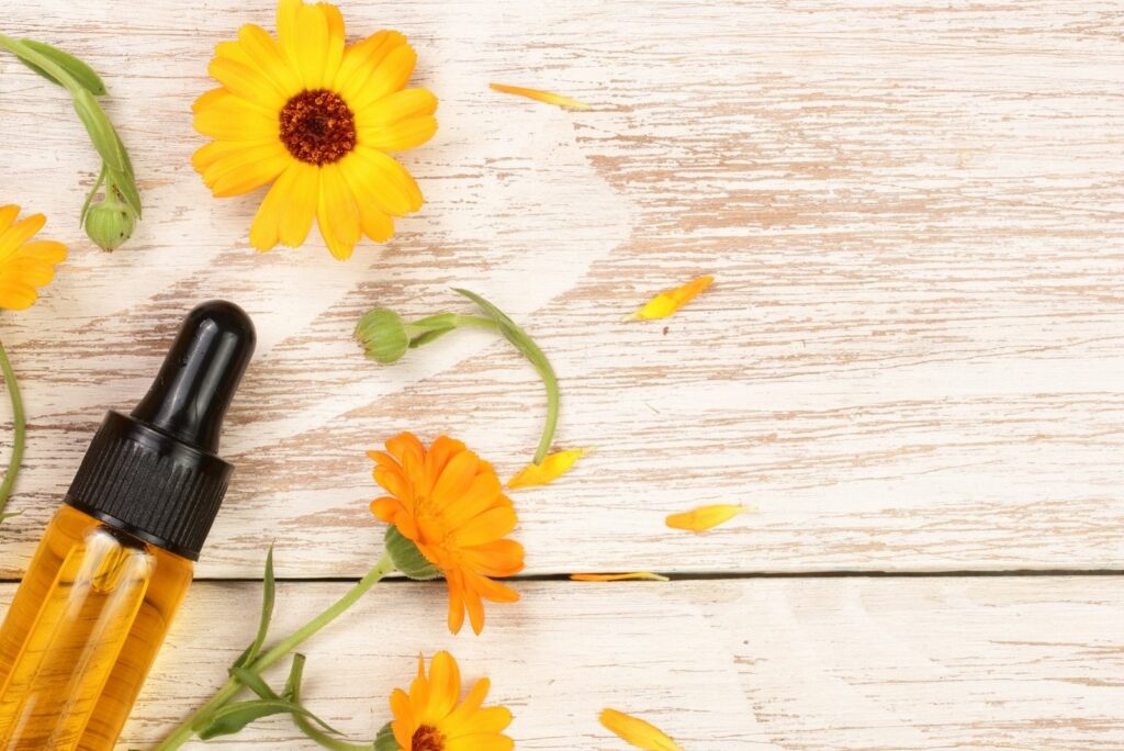 calendula essential oil