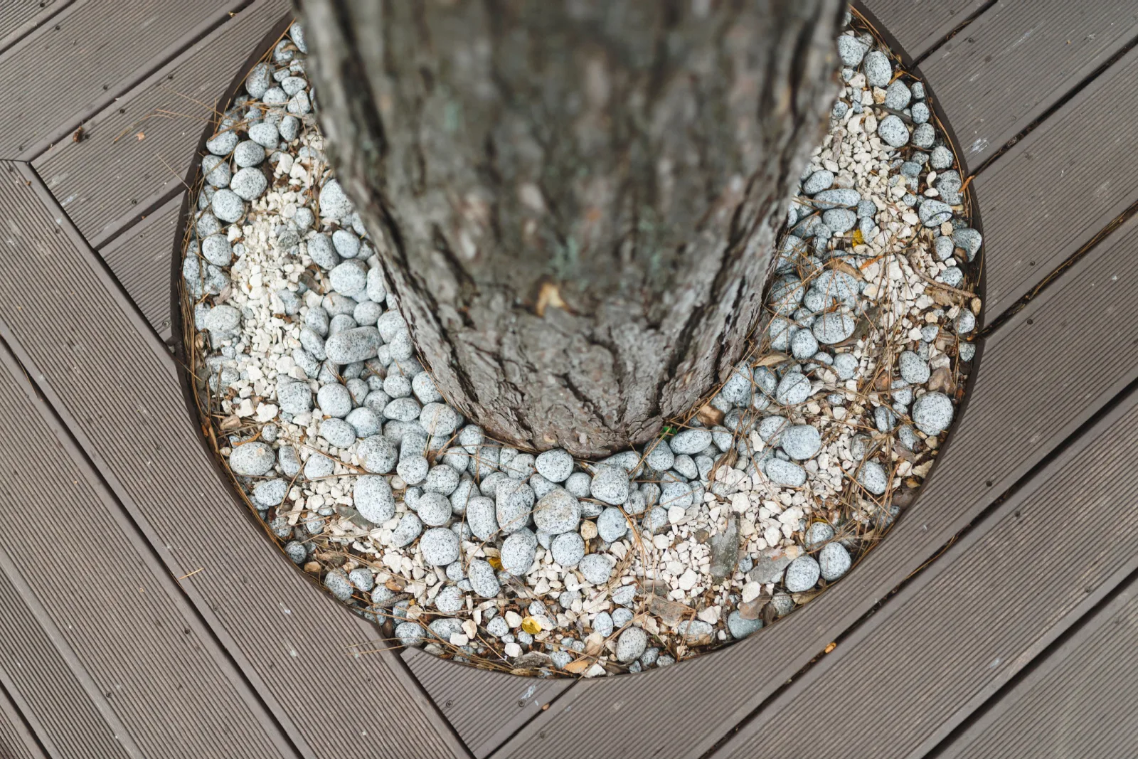 circle around tree with stones at porch