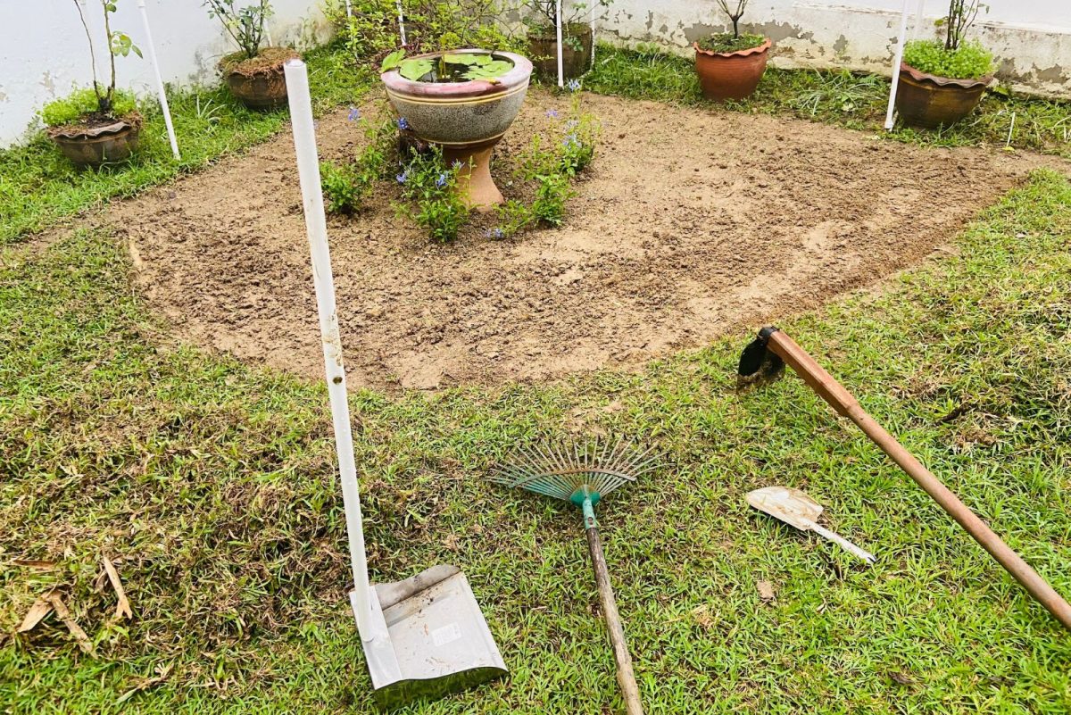 When And How To Plant Wildflower Seeds Make Your Wild Wonderland