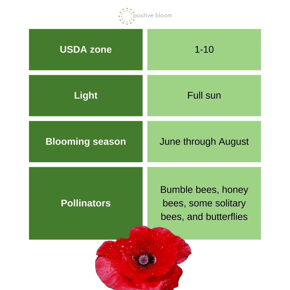 common poppy general info, affordable flower seed