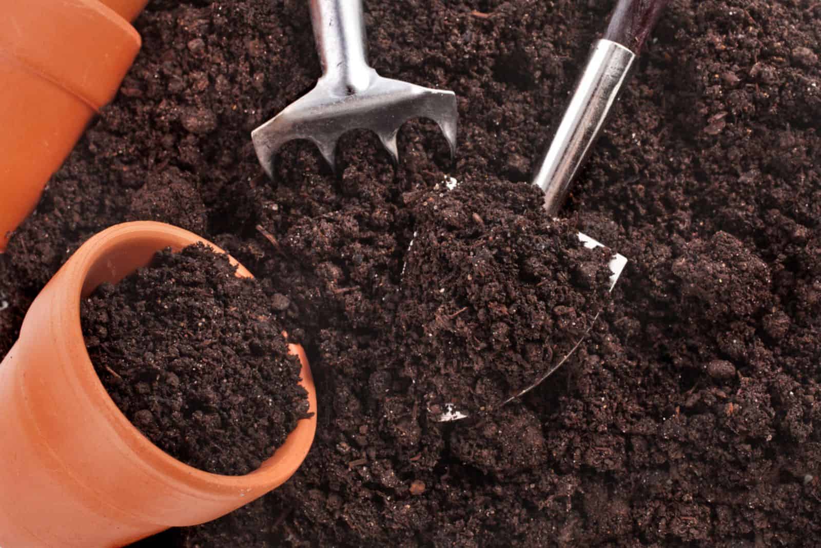 gardening tools and seedling in soil surface background