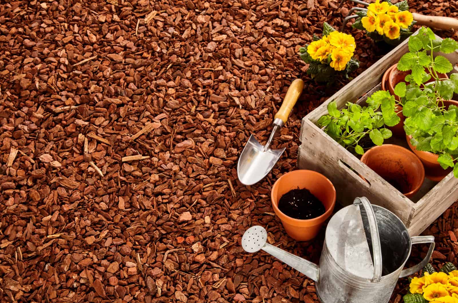 mulch and planting pots