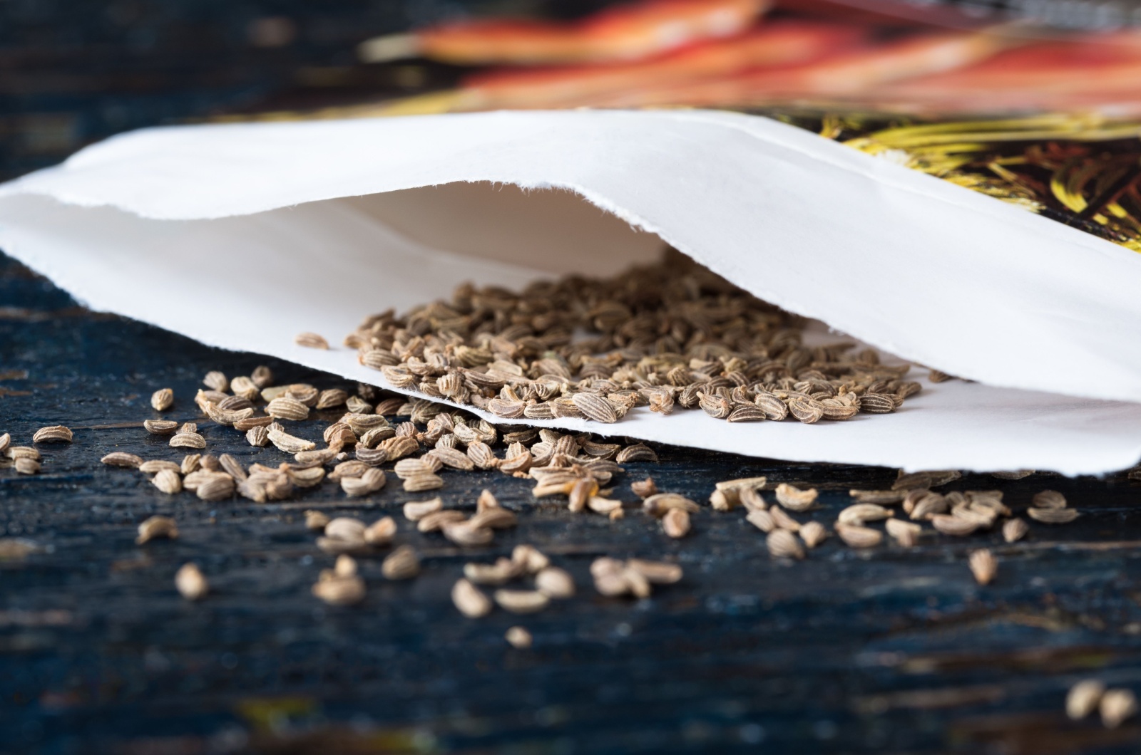 seeds in a paper bag