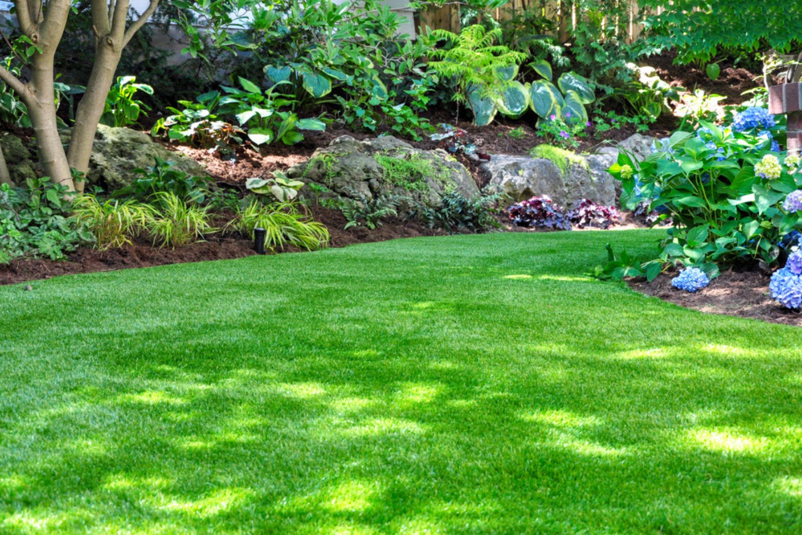 shaded woodland garden