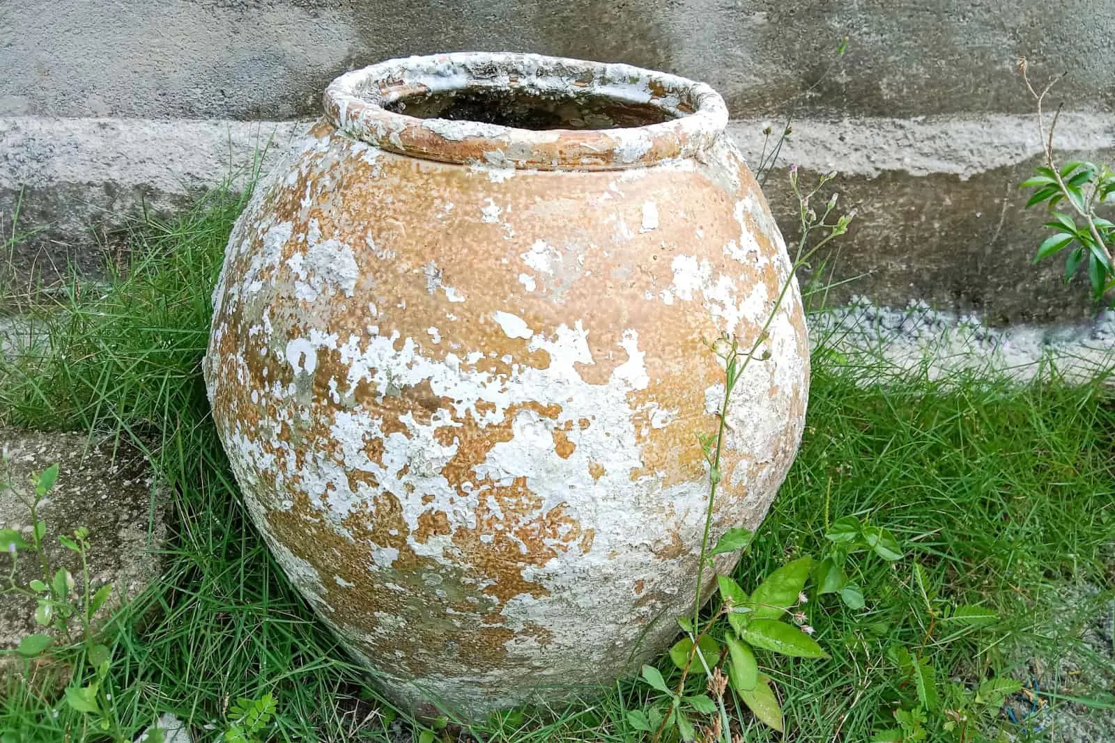 terracotta pot with crusty white film