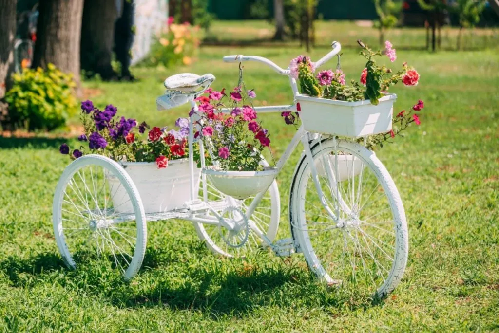 vintage bicycle with pots of flowers