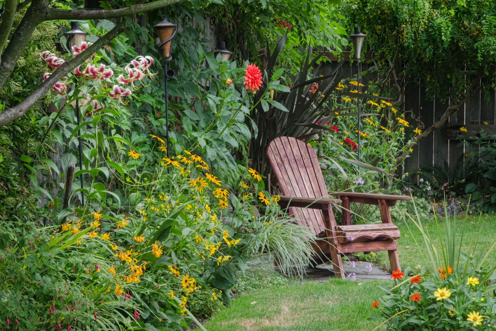 A weathered wood chair sits at the end of a stone walkway, hidden behind colorful zinnias.