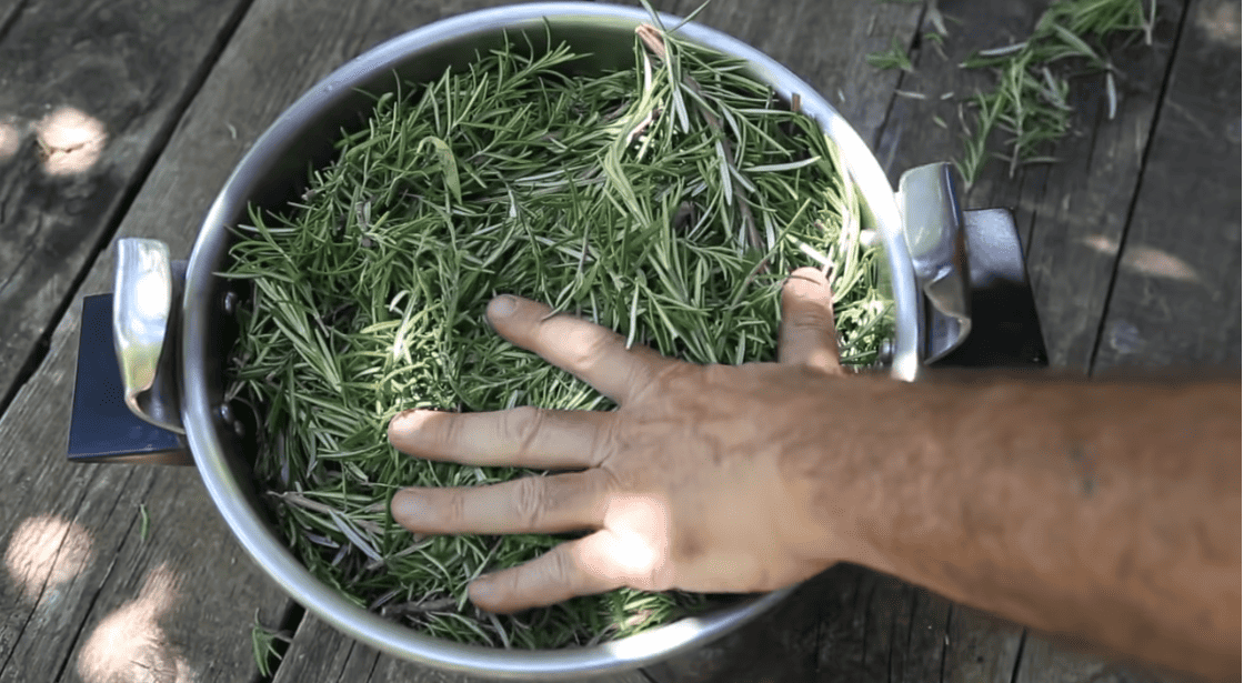 20 Genius Ways To Use Rosemary That Will Surprise You