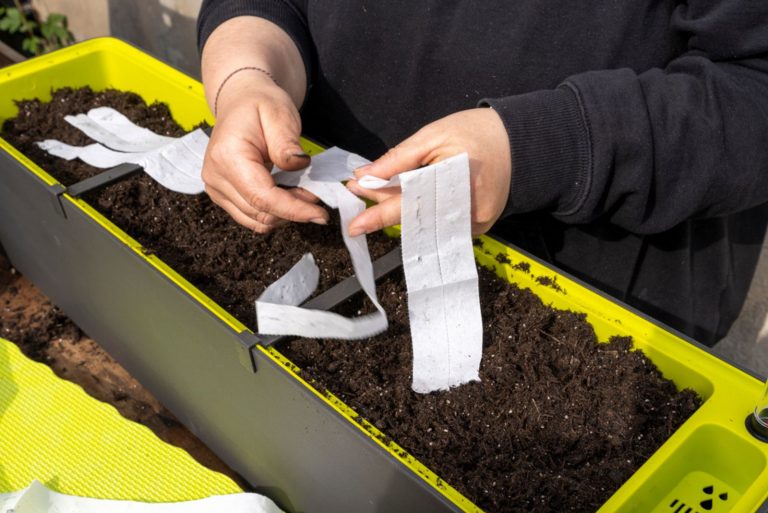 a woman with ribbons plants in a pot