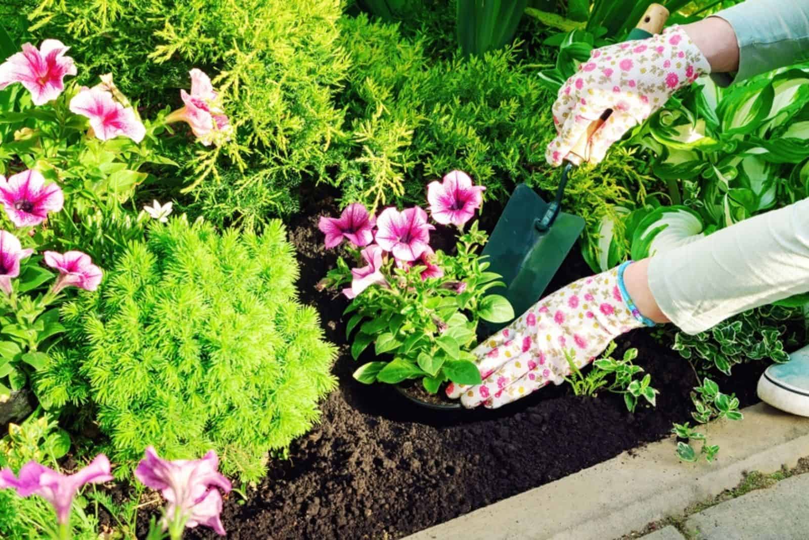 25 Flower Bed Ideas To Uplift Your Landscape