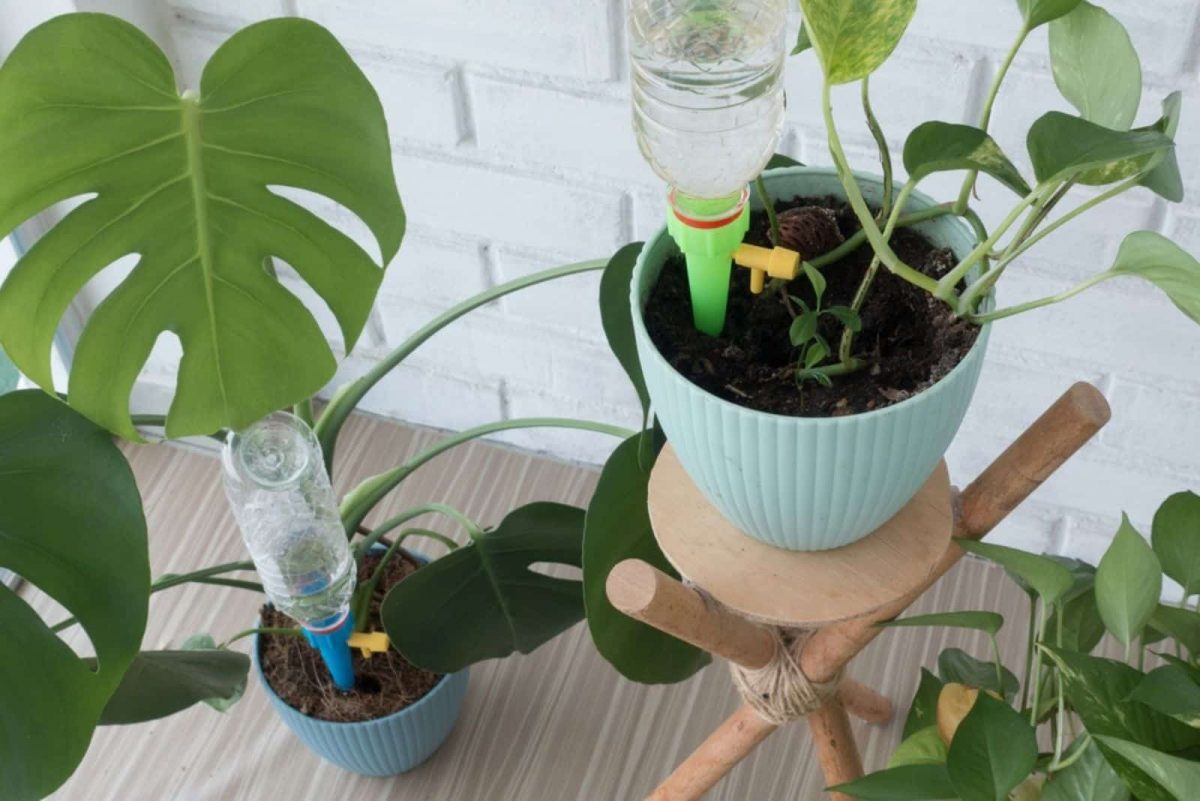 5 Steps For A DIY Drip Irrigation System