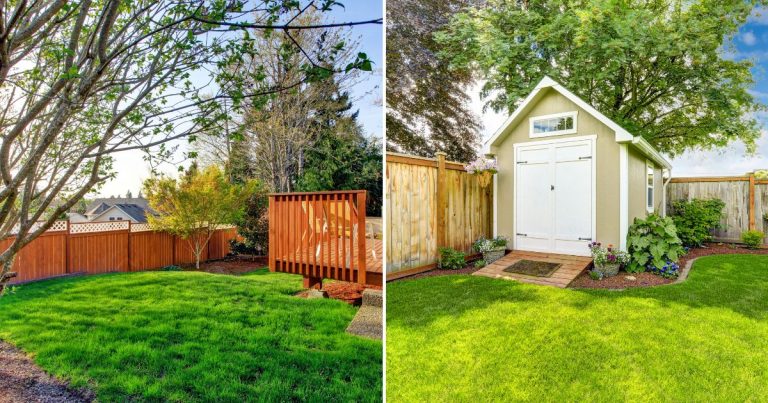 common mistakes when renovating the yard