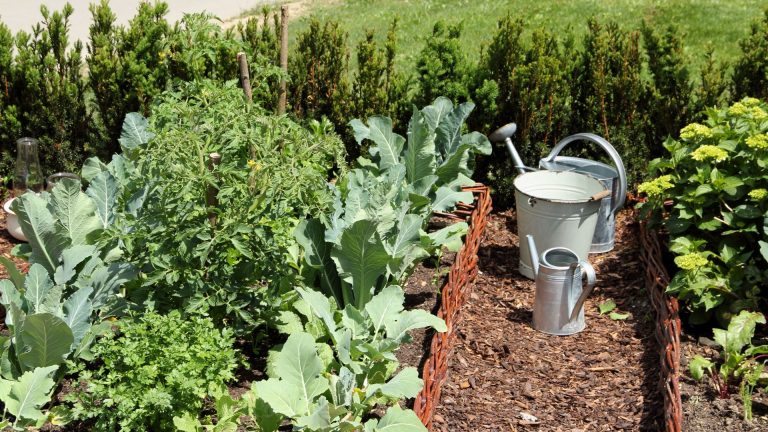 gardening mistakes to avoid