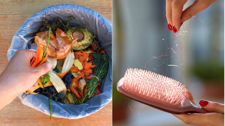 photo of food waste in a bin and hair brush with hair being pulled out