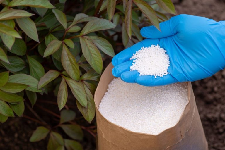 Hand in glove against bush of flowers in the garden