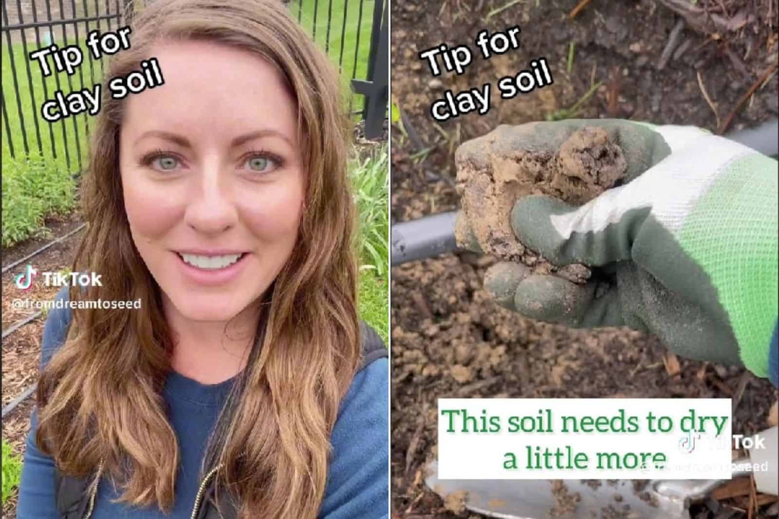 A Pro Tip For Growing Plants In Clay Soil