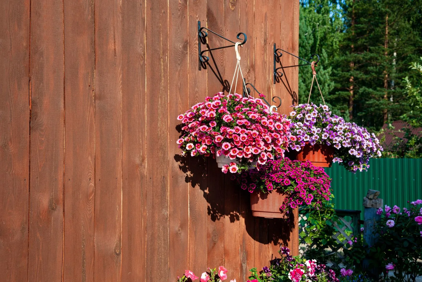 20 Edible Flower Recipes