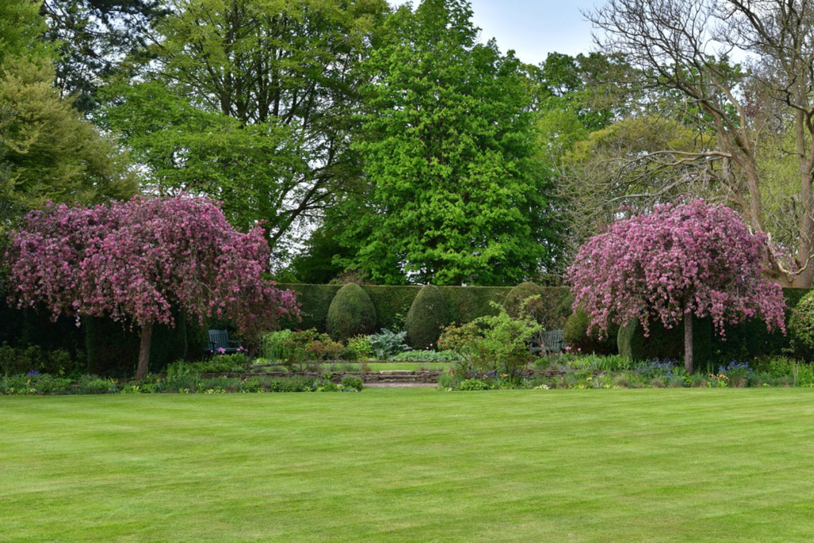 Beautiful English Style Landscape Garden