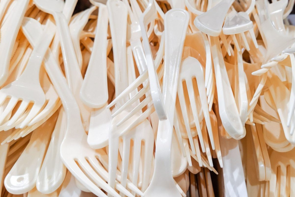 Discover How To Use Plastic Forks To Keep Animals Out Of Your Vegetable