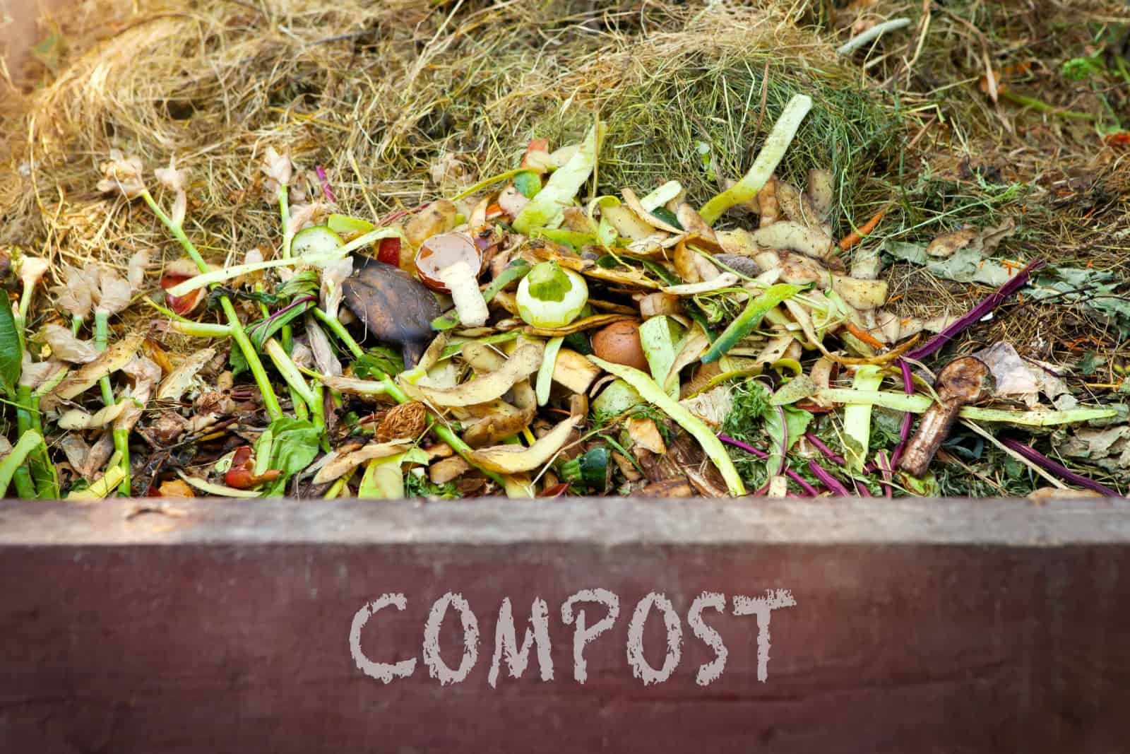 Compost - text on the front of a compost bin with food scraps and grass clippings.
