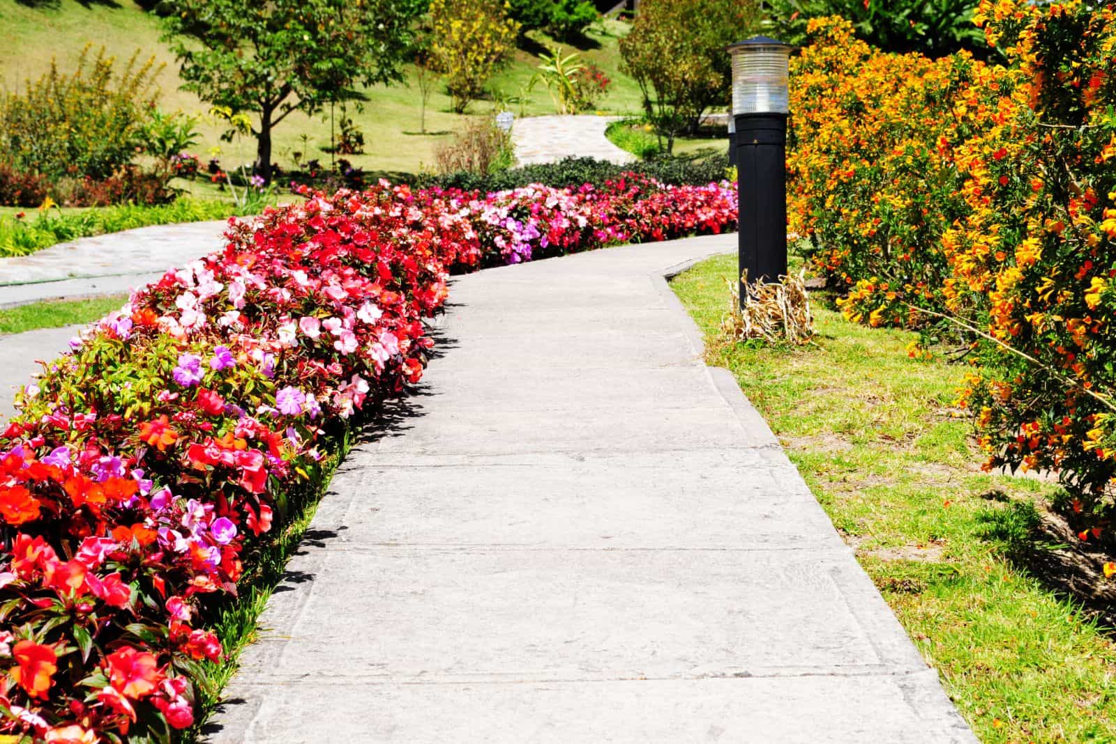 Concrete path decorated with flowers in a beautiful country home