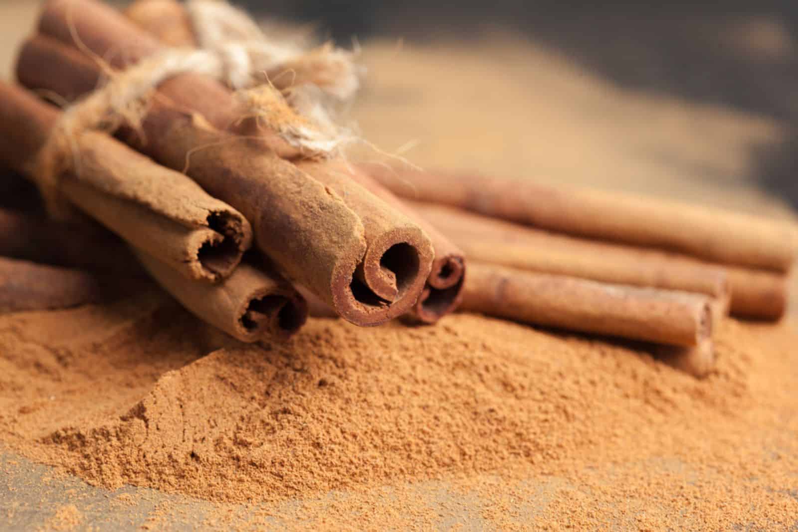 Discover How A Sprinkle Of Cinnamon Can Make Your Garden Thrive
